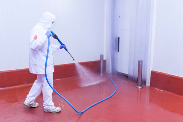 Best Sign and Awning Cleaning  in Abram, TX